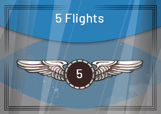 5 Flights Award