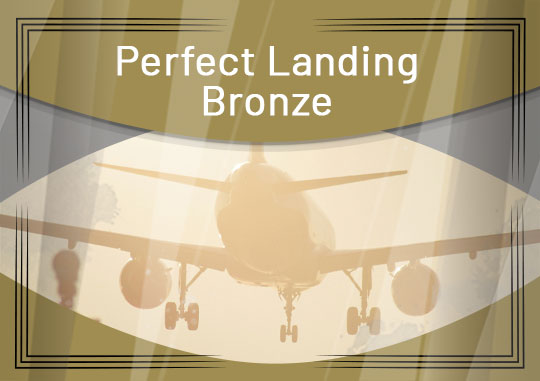 Perfect Landing Bronze