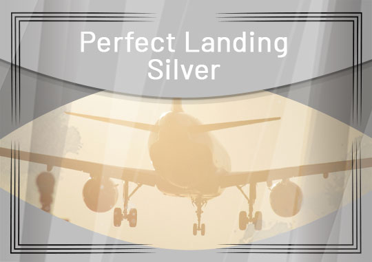 Perfect Landing Silver