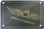 Pilot license