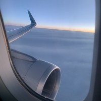 user-image